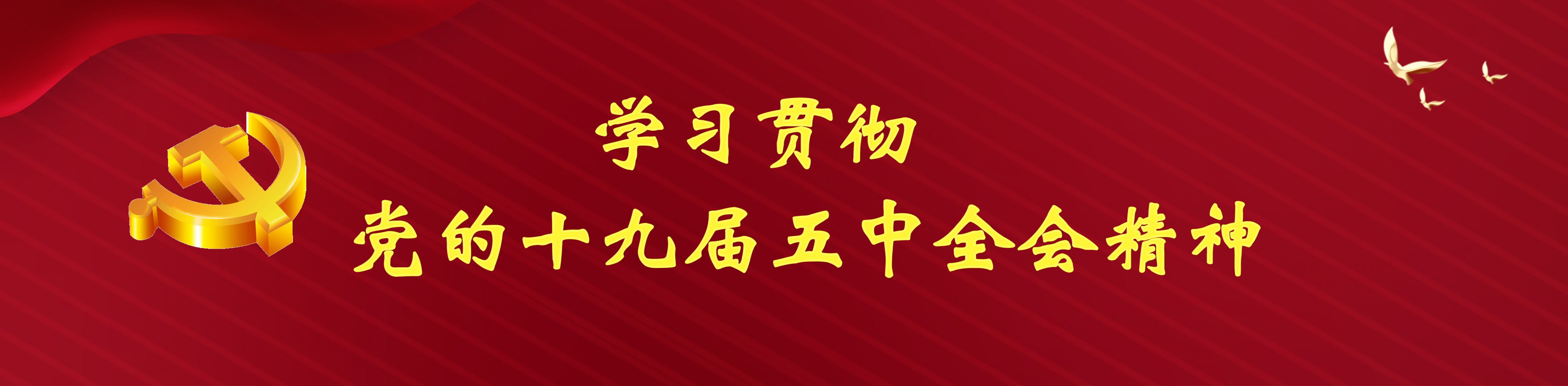 学习贯彻党的十九届五中全会精神